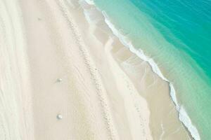 ai généré aérien vue de le tropical plage et océan. pro photo