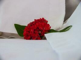 une rouge fleur sur une blanc lit feuille photo