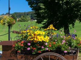 une en bois Chariot avec fleurs photo