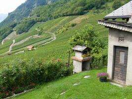 une maison avec une toit photo