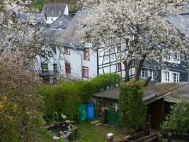 une arbre avec blanc fleurs photo