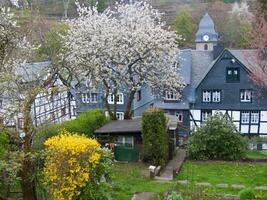 une vue de une maison avec une chien et une arbre photo