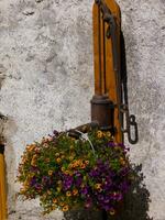 une fleur panier pendaison de une mur photo