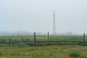 rural paysage, bétail paddock sur une brumeux pâturage photo