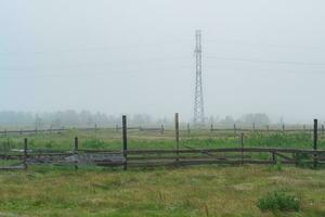 rural paysage, bétail paddock sur une brumeux pâturage photo