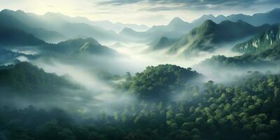 ai généré mystérieux brumeux vallée avec tropical forêt tropicale, Naturel forêt paysage photo