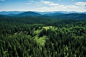 ai généré aérien vue de plus de foncé pin forêt des arbres. Haut vers le bas drone voir. photo