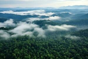 ai généré aérien vue de foncé vert forêt avec brumeux des nuages. le riches Naturel écosystème de forêt tropicale concept de Naturel forêt préservation et reboisement. photo