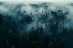 ai généré aérien vue de foncé vert forêt avec brumeux des nuages. le riches Naturel écosystème de forêt tropicale concept de Naturel forêt préservation et reboisement. photo