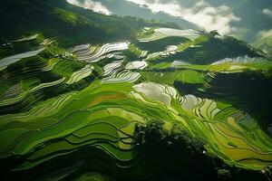 ai généré Haut vue ou aérien coup de Frais vert et Jaune riz des champs photo