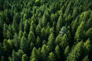 ai généré aérien vue de foncé vert forêt avec brumeux des nuages. le riches Naturel écosystème de forêt tropicale concept de Naturel forêt préservation et reboisement. photo