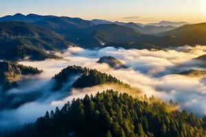 ai généré aérien vue de foncé vert forêt avec brumeux des nuages. le riches Naturel écosystème de forêt tropicale concept de Naturel forêt préservation et reboisement. photo