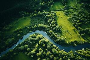 ai généré drone aérien des oiseaux œil vue de une grand vert herbe forêt avec grand des arbres et une gros bleu bendy rivière écoulement par le forêt photo