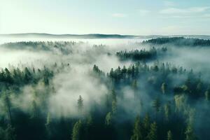 ai généré aérien vue de foncé vert forêt avec brumeux des nuages. le riches Naturel écosystème de forêt tropicale concept de Naturel forêt préservation et reboisement. photo