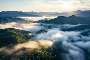 ai généré aérien vue de foncé vert forêt avec brumeux des nuages. le riches Naturel écosystème de forêt tropicale concept de Naturel forêt préservation et reboisement. photo