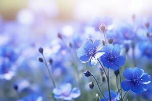 ai généré bleu fleurs Contexte photo