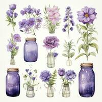 ai généré collection de aquarelle le maçon pots avec violet fleurs clipart. ai généré photo