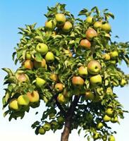 ai généré une magnifique vert Pomme arbre. ai généré photo