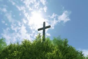 ai généré le traverser de Dieu avec vert feuille, dans le des rayons de le Soleil et bleu ciel. traverser sur le colline avec vert des arbres et vert Naturel voir. religieux concept, ai génératif photo