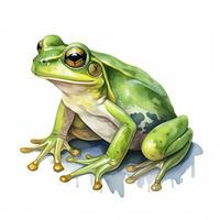 ai généré aquarelle vert grenouille sur blanc Contexte. ai généré photo