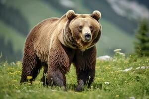 ai généré marron ours en mouvement sur le vert Prairie dans printemps la nature. ai généré photo