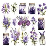 ai généré collection de aquarelle le maçon pots avec violet fleurs clipart. ai généré photo