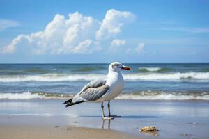 ai généré mouette sur le plage en dessous de bleu ciel. photo