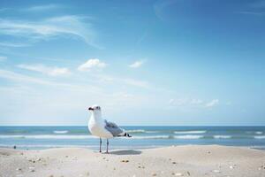 ai généré mouette sur le plage en dessous de bleu ciel. photo