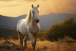 ai généré blanc cheval ou jument dans le montagnes à le coucher du soleil. ai généré photo