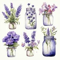 ai généré collection de aquarelle le maçon pots avec violet fleurs clipart. ai généré photo