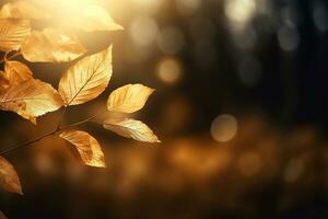 ai généré magnifique Orange et d'or l'automne feuilles contre une floue parc dans lumière du soleil avec magnifique bokeh. Naturel l'automne Contexte photo