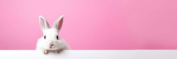 ai généré mignonne blanc lapin sur une rose Contexte. endroit pour texte. photo