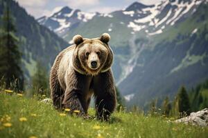 ai généré marron ours en mouvement sur le vert Prairie dans printemps la nature. ai généré photo