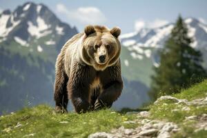 ai généré marron ours en mouvement sur le vert Prairie dans printemps la nature. ai généré photo