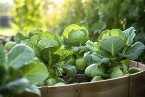 ai généré Frais biologique Bruxelles choux croissance dans le jardin. croissance posséder des fruits, des légumes. ai généré photo