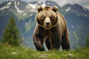 ai généré marron ours en mouvement sur le vert Prairie dans printemps la nature. ai généré photo