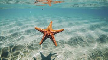 ai généré étoile de mer dans le clair bleu l'eau photo