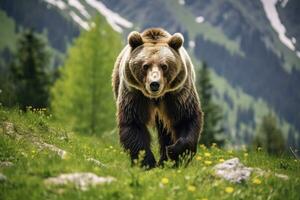 ai généré marron ours en mouvement sur le vert Prairie dans printemps la nature. ai généré photo