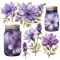 ai généré collection de aquarelle le maçon pots avec violet fleurs clipart. ai généré photo