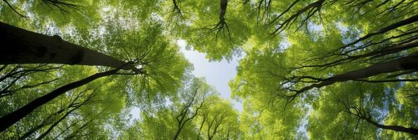 ai généré à la recherche en haut à le vert hauts de des arbres. ai généré photo