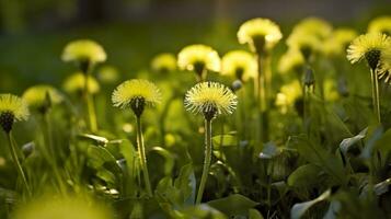 ai généré le vert printemps Matin. génératif ai photo