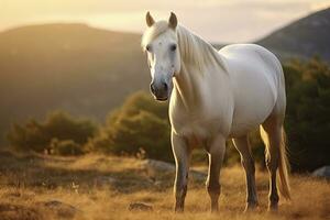 ai généré blanc cheval ou jument dans le montagnes à le coucher du soleil. ai généré photo