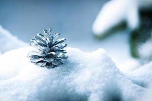 givre et neige sur les aiguilles vertes des sapins photo