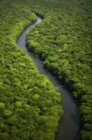 ai généré aérien vue de le amazonas jungle paysage avec rivière plier. génératif ai photo