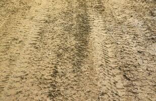 roue Piste sur boue. traces de une tracteur ou lourd hors route voiture sur marron boue dans humide Prairie photo