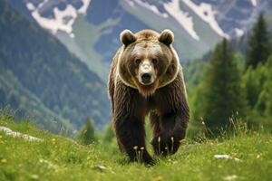 ai généré marron ours en mouvement sur le vert Prairie dans printemps la nature. ai généré photo