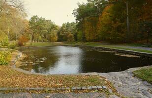 magnifique la nature l'automne paysage avec lac. paysage vue sur l'automne ville parc avec d'or Jaune feuillage dans nuageux journée photo