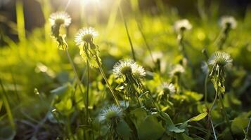 ai généré le vert printemps Matin. génératif ai photo