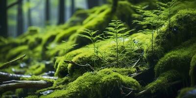 ai généré vert mousse fermer, avec une toile de fond de des bois. forêt dans le nationale parc. ai généré photo