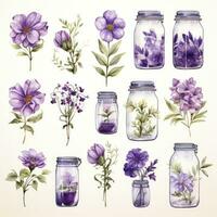 ai généré collection de aquarelle le maçon pots avec violet fleurs clipart. ai généré photo